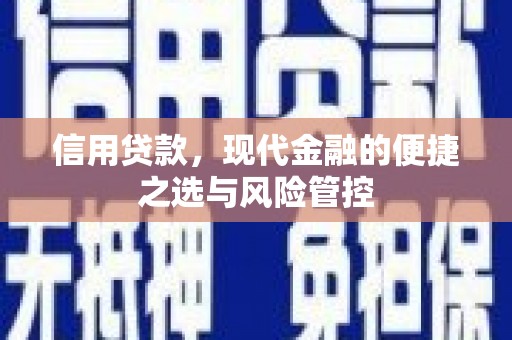 咸丰信用贷款，现代金融的便捷之选与风险管控