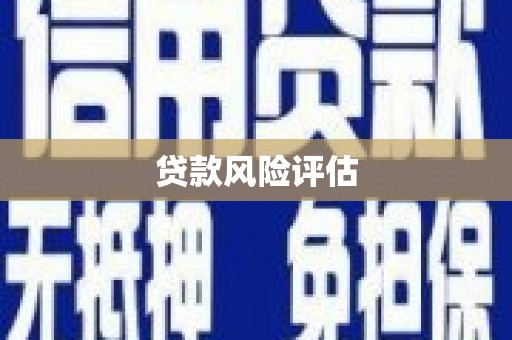 金溪贷款风险评估