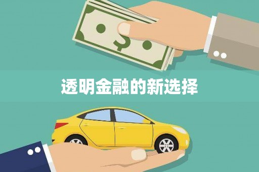 海州透明金融的新选择
