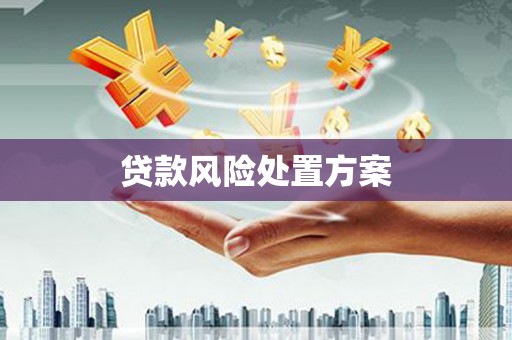 阜宁贷款风险处置方案