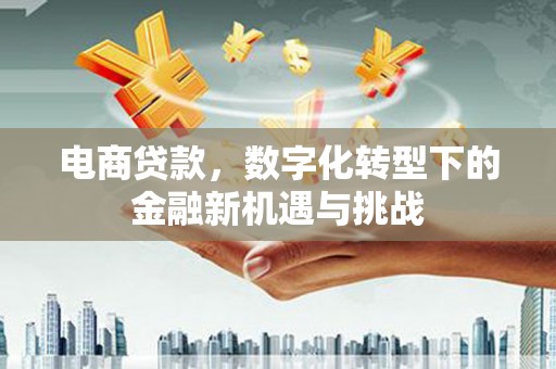 滦南电商贷款，数字化转型下的金融新机遇与挑战