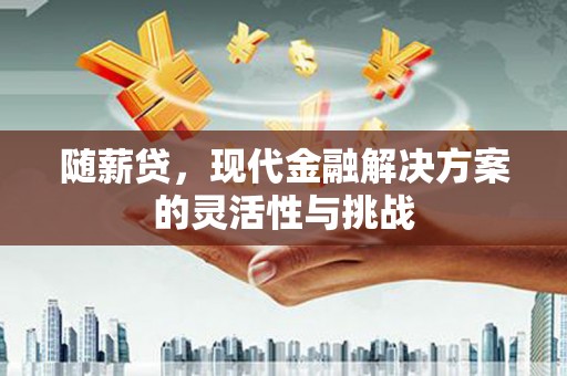 津南随薪贷，现代金融解决方案的灵活性与挑战
