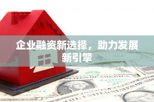 中寮企业融资新选择，助力发展新引擎