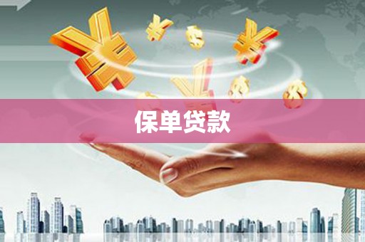 广水保单贷款