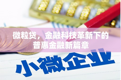 雨山微粒贷，金融科技革新下的普惠金融新篇章