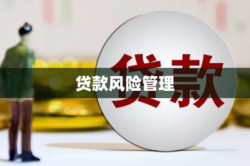 霍城贷款风险管理