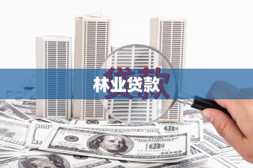 红寺堡林业贷款