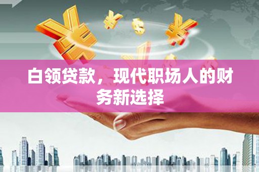 成县白领贷款，现代职场人的财务新选择
