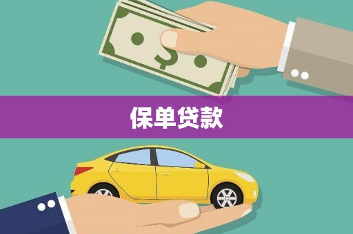 勉县保单贷款
