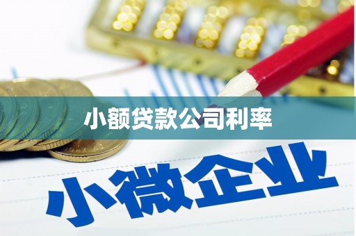 秦汉小额贷款公司利率