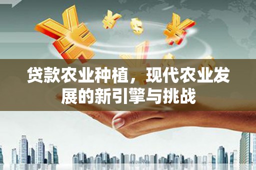 乌拉特中旗贷款农业种植，现代农业发展的新引擎与挑战