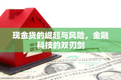 措勤现金贷的崛起与风险，金融科技的双刃剑