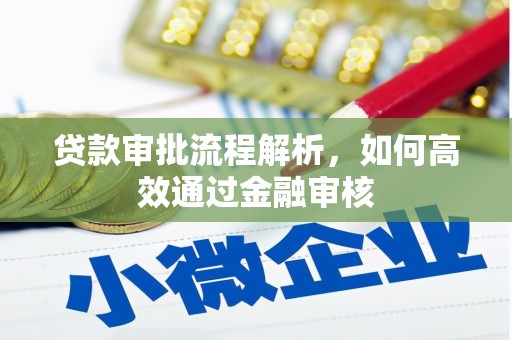 遂昌贷款审批流程解析，如何高效通过金融审核