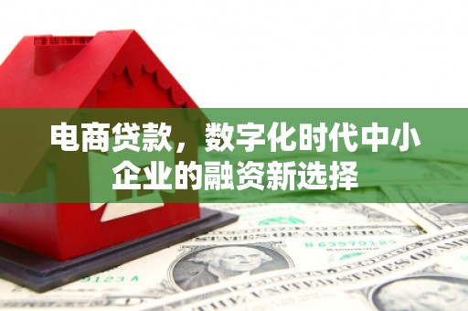 桃江电商贷款，数字化时代中小企业的融资新选择
