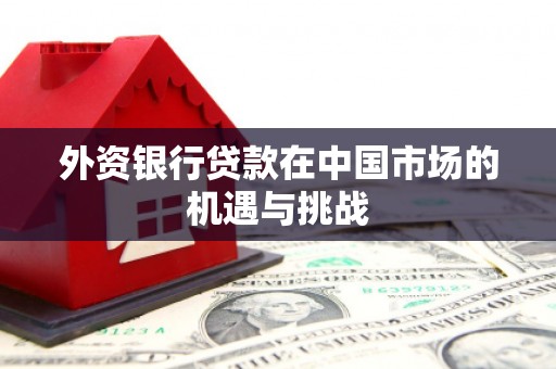 南化外资银行贷款在中国市场的机遇与挑战