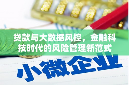 湾仔区贷款与大数据风控，金融科技时代的风险管理新范式