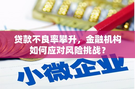 珲春贷款不良率攀升，金融机构如何应对风险挑战？
