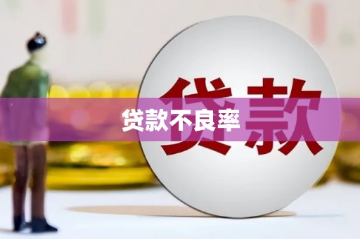 固阳贷款不良率