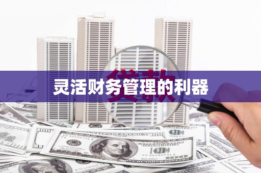 六甲灵活财务管理的利器