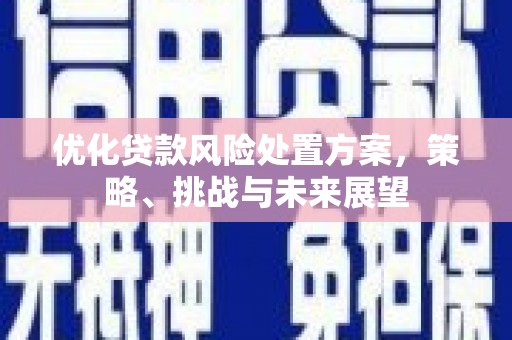 华龙优化贷款风险处置方案，策略、挑战与未来展望