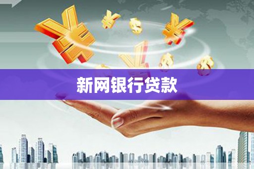 洋县新网银行贷款