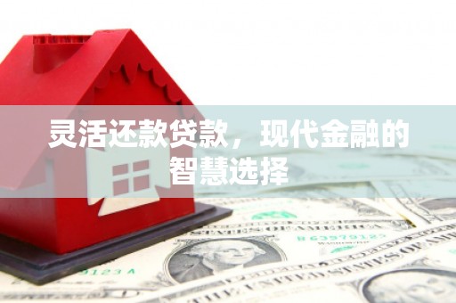 岚皋灵活还款贷款，现代金融的智慧选择