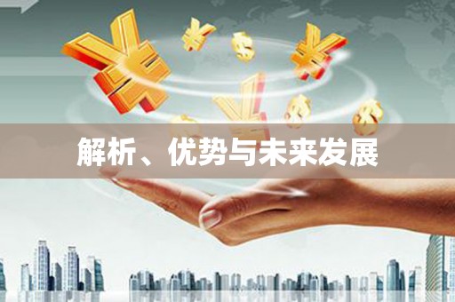 仙游解析、优势与未来发展