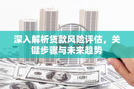汝南深入解析贷款风险评估，关键步骤与未来趋势