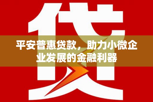 高要平安普惠贷款，助力小微企业发展的金融利器