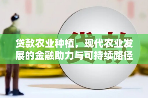 光明新区贷款农业种植，现代农业发展的金融助力与可持续路径