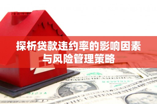 吴忠探析贷款违约率的影响因素与风险管理策略