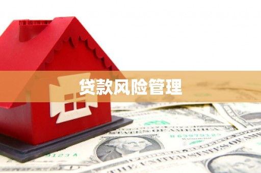 纳雍贷款风险管理