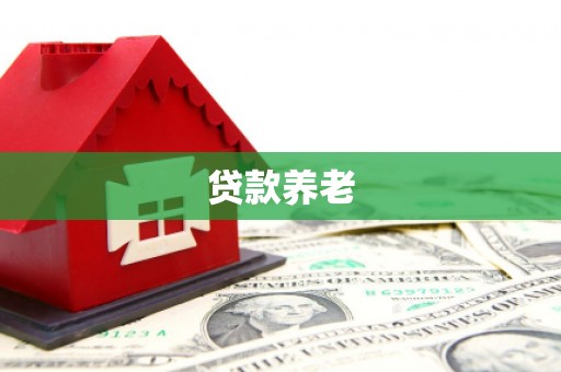 赫山贷款养老