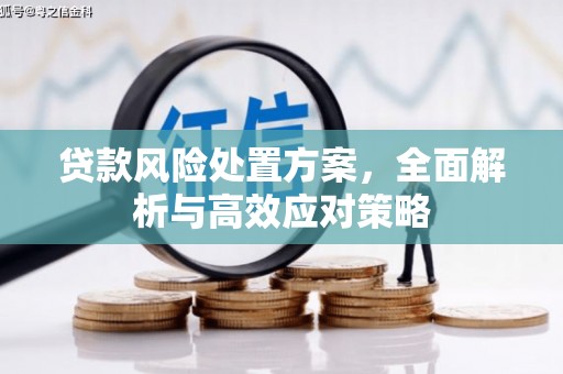 宁南贷款风险处置方案，全面解析与高效应对策略