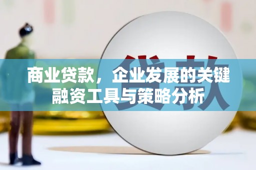 天等商业贷款，企业发展的关键融资工具与策略分析