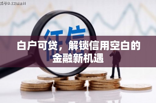 房县白户可贷，解锁信用空白的金融新机遇