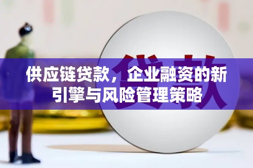 鹤庆供应链贷款，企业融资的新引擎与风险管理策略