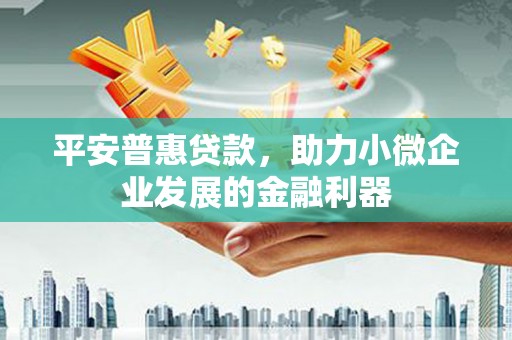 岑巩平安普惠贷款，助力小微企业发展的金融利器