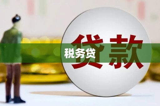 尖石税务贷