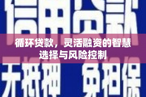 港口循环贷款，灵活融资的智慧选择与风险控制