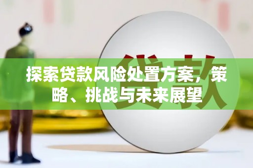 绥滨探索贷款风险处置方案，策略、挑战与未来展望