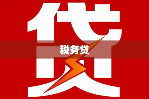 保德税务贷