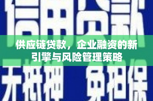 临漳供应链贷款，企业融资的新引擎与风险管理策略
