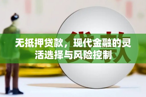 民和无抵押贷款，现代金融的灵活选择与风险控制