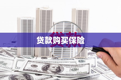 荆州贷款购买保险