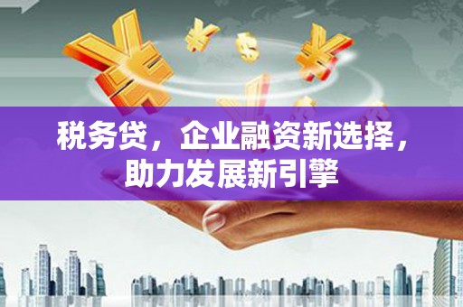 防城港税务贷，企业融资新选择，助力发展新引擎