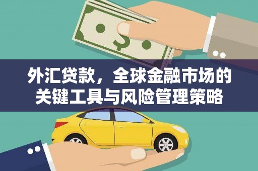 宝应县外汇贷款，全球金融市场的关键工具与风险管理策略