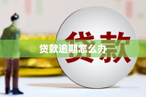 柳林贷款逾期怎么办