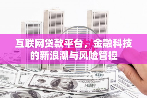 河源互联网贷款平台，金融科技的新浪潮与风险管控