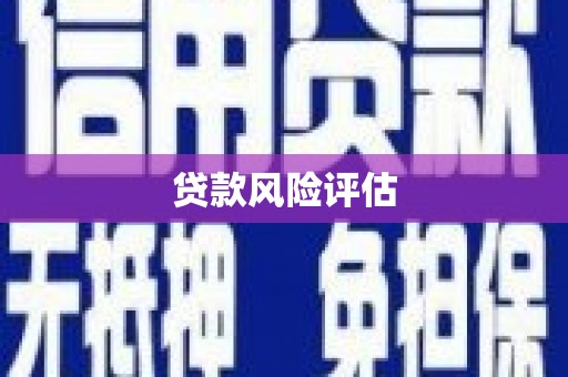 凤县贷款风险评估